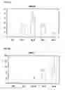 Fig. 09 - Preprimitive streak and mesendoderm cells