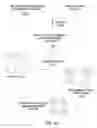 Fig. 06 - RNAi agents for maintenance of stem cells