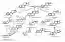 Fig. 01 - Analysis of large numbers of estrogens and other steroids and applications thereof