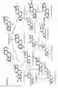 Fig. 02 - Analysis of large numbers of estrogens and other steroids and applications thereof