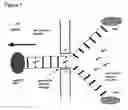 Fig. 02 - Methods and apparatus for molecular data storage, retrieval and analysis