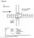 Fig. 04 - Methods and apparatus for molecular data storage, retrieval and analysis