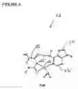 Fig. 06 - Methods and apparatus for molecular data storage, retrieval and analysis