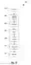 Fig. 07 - Methods and system for inhibiting immersion lithography defect formation