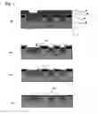 Fig. 02 - Polishing composition and polishing method