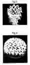 Fig. 06 - Articulated structure and modules thereof