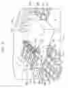 Fig. 03 - Kelvin contact module for a microcircuit test system