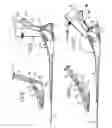 Fig. 05 - Swimming and diving flippers for distrubution of force