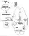 Fig. 01 - Network support for RF backhaul for very remote base stations