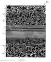 Fig. 08 - Picture maze and method of generating the picture maze