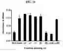 Fig. 04 - Use of a peptide that interacts with αvβ3 integrin of endothelial cell