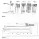 Fig. 02 - Method for synthesis of phospholipids-PEG-biomolecule conjugates