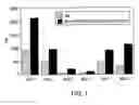 Fig. 02 - Peptides