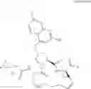 Fig. 16 - Method of treating interferon non-responders using HCV protease inhibitor