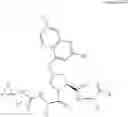 Fig. 22 - Method of treating interferon non-responders using HCV protease inhibitor