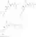 Fig. 300 - Method of treating interferon non-responders using HCV protease inhibitor
