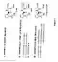 Fig. 02 - Cognitive enhancement and cognitive therapy using glycyl-L-2-methylprolyl-L-glutamate