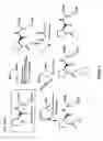 Fig. 04 - Cognitive enhancement and cognitive therapy using glycyl-L-2-methylprolyl-L-glutamate