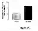 Fig. 22 - Cognitive enhancement and cognitive therapy using glycyl-L-2-methylprolyl-L-glutamate