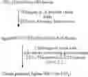 Fig. 57 - Mediators of reverse cholesterol transport for the treatment of hypercholesterolemia