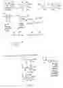Fig. 03 - Proteasome inhibitors and uses thereof