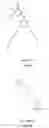 Fig. 09 - Proteasome inhibitors and uses thereof