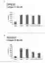 Fig. 05 - Method and means for treatment of osteoarthritis