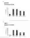 Fig. 08 - Method and means for treatment of osteoarthritis