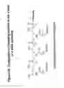 Fig. 49 - RNA interference mediated inhibition of gene expression using chemically modified short interfering nucleic acid (siNA)