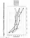 Fig. 83 - RNA interference mediated inhibition of gene expression using chemically modified short interfering nucleic acid (siNA)