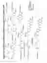 Fig. 46 - RNA interference mediated inhibition of gene expression using chemically modified short interfering nucleic acid (siNA)
