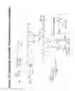 Fig. 72 - RNA interference mediated inhibition of gene expression using chemically modified short interfering nucleic acid (siNA)