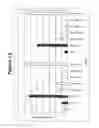Fig. 14 - RNA interference mediated inhibition of gene expression using chemically modified short interfering nucleic acid (siNA)