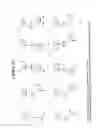 Fig. 23 - RNA interference mediated inhibition of gene expression using chemically modified short interfering nucleic acid (siNA)