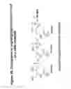 Fig. 49 - RNA interference mediated inhibition of gene expression using chemically modified short interfering nucleic acid (siNA)