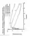 Fig. 68 - RNA interference mediated inhibition of gene expression using chemically modified short interfering nucleic acid (siNA)