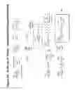 Fig. 70 - RNA interference mediated inhibition of gene expression using chemically modified short interfering nucleic acid (siNA)