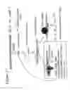 Fig. 18 - RNA interference mediated inhibition of gene expression using chemically modified short interfering nucleic acid (siNA)