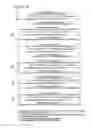 Fig. 19 - RNA interference mediated inhibition of gene expression using chemically modified short interfering nucleic acid (siNA)