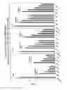 Fig. 31 - RNA interference mediated inhibition of gene expression using chemically modified short interfering nucleic acid (siNA)