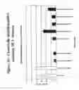 Fig. 37 - RNA interference mediated inhibition of gene expression using chemically modified short interfering nucleic acid (siNA)