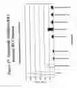 Fig. 38 - RNA interference mediated inhibition of gene expression using chemically modified short interfering nucleic acid (siNA)