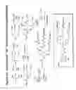 Fig. 71 - RNA interference mediated inhibition of gene expression using chemically modified short interfering nucleic acid (siNA)
