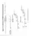 Fig. 74 - RNA interference mediated inhibition of gene expression using chemically modified short interfering nucleic acid (siNA)
