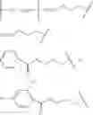 Fig. 86 - RNA interference mediated inhibition of gene expression using chemically modified short interfering nucleic acid (siNA)