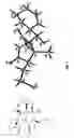 Fig. 02 - Methods of using [3.2.0] heterocyclic compounds and analogs thereof