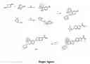Fig. 02 - Pharmaceutical/cosmetic compositions comprising a novel RARbeta receptor-activating ligand