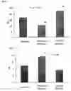 Fig. 06 - Method of stabilizing lipid-rich plaque and method of preventing rupture thereof