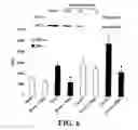 Fig. 07 - Methods for treating neurofibromatosis 1