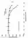 Fig. 08 - Modulators of sperm hypermotility and uses thereof
